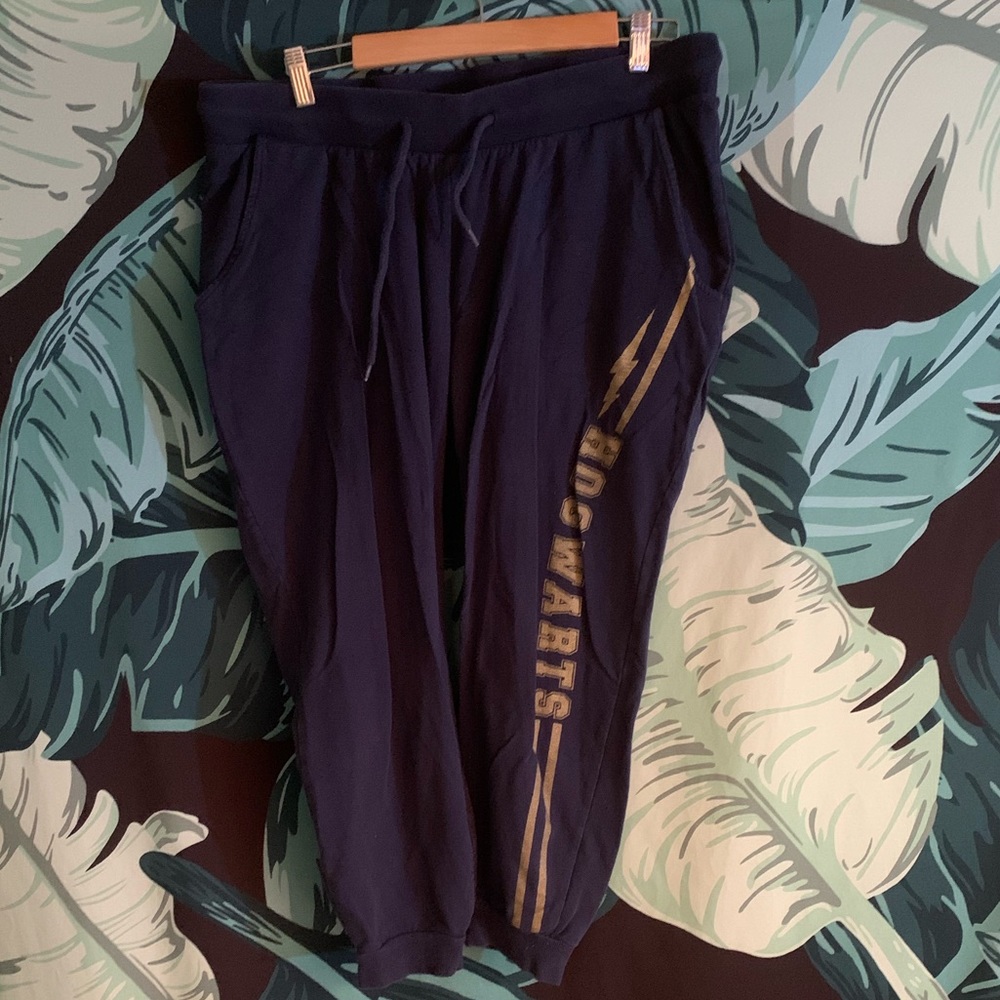 Torrid hog warts joggers